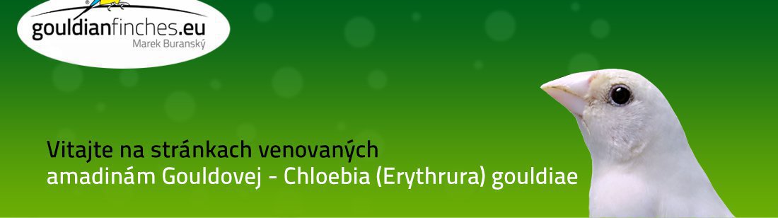 Gouldianfinches.eu – amadina Gouldovej, Chloebia gouldiae, Erythrura Gouldiae, Genetika, Forum